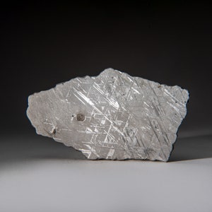 Genuine Muonionalusta Meteorite Slice (385 grams)
