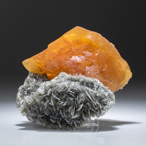 May include: A cluster of orange calcite crystals atop a bed of gray selenite crystals. The calcite crystals are translucent and have a slightly rough texture. The selenite crystals are smooth and have a delicate, layered appearance.