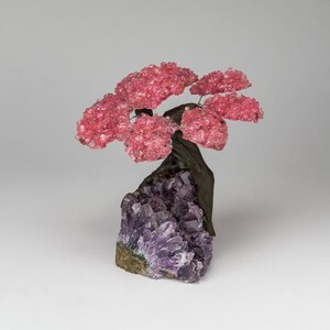 Genuine Rose Quartz Clustered Gemstone Tree on Amethyst Matrix (The Love Tree) 5"
