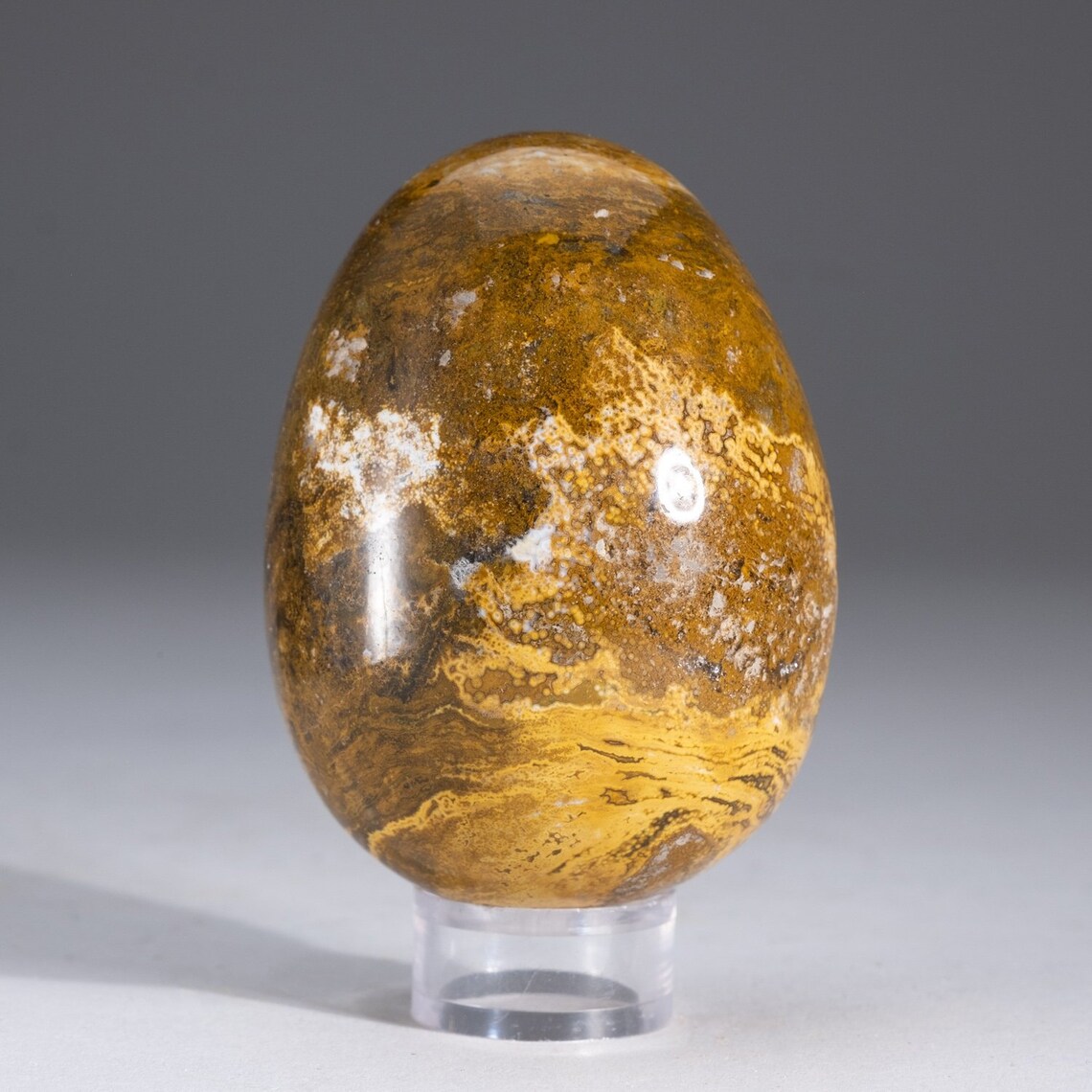 Genuine Polished Ocean Jasper Egg .7 lbs OJE11 Etsy