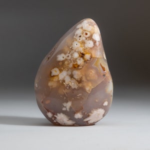 Genuine Polished Flower Agate Freeform from Madagascar (1.4 lbs) FL-F3