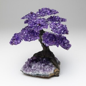 Large Amethyst Clustered Gemstone Tree on Amethyst Matrix the - Etsy