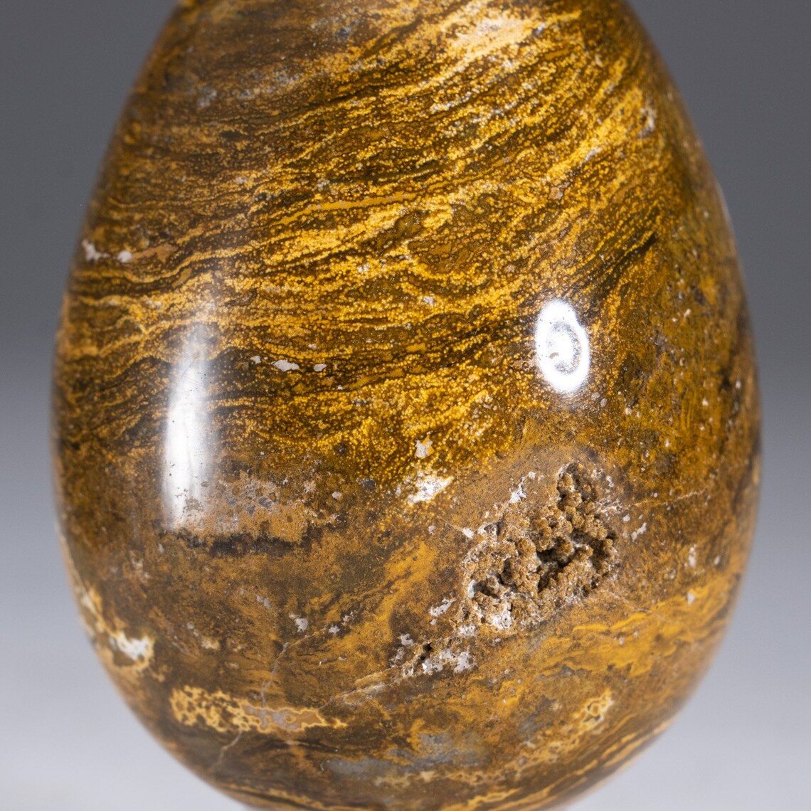 Genuine Polished Ocean Jasper Egg .7 lbs OJE11 Etsy