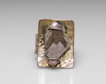 Genuine Seymchan Meteorite Ring in Sterling Silver