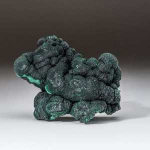 Botryoider Malachit aus Shaba Kupfergürtel, Provinz Katanga (Shaba), Demokratische Republik Kongo (Zaire)