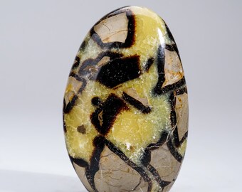 セプタリアン・フリーフォーム：マダガスカルクリスタル（3.0インチ x