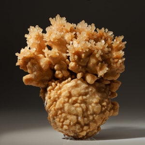 Può includere: Un gruppo di cristalli di calcite di colore beige e bianco con una superficie ruvida e testurizzata. I cristalli sono disposti in un gruppo che ricorda un fiore.