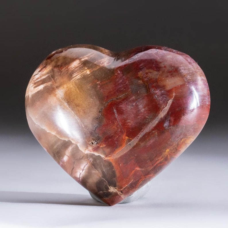 Petrified Wood Heart from Madagascar PWH12 198.5 grams