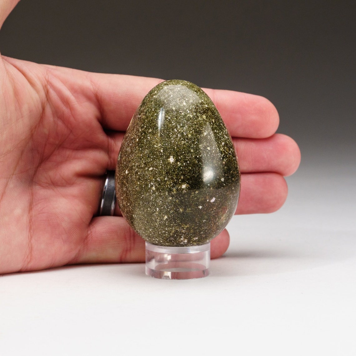 Genuine Polished Ocean Jasper Egg 203 Grams OJE3 Etsy