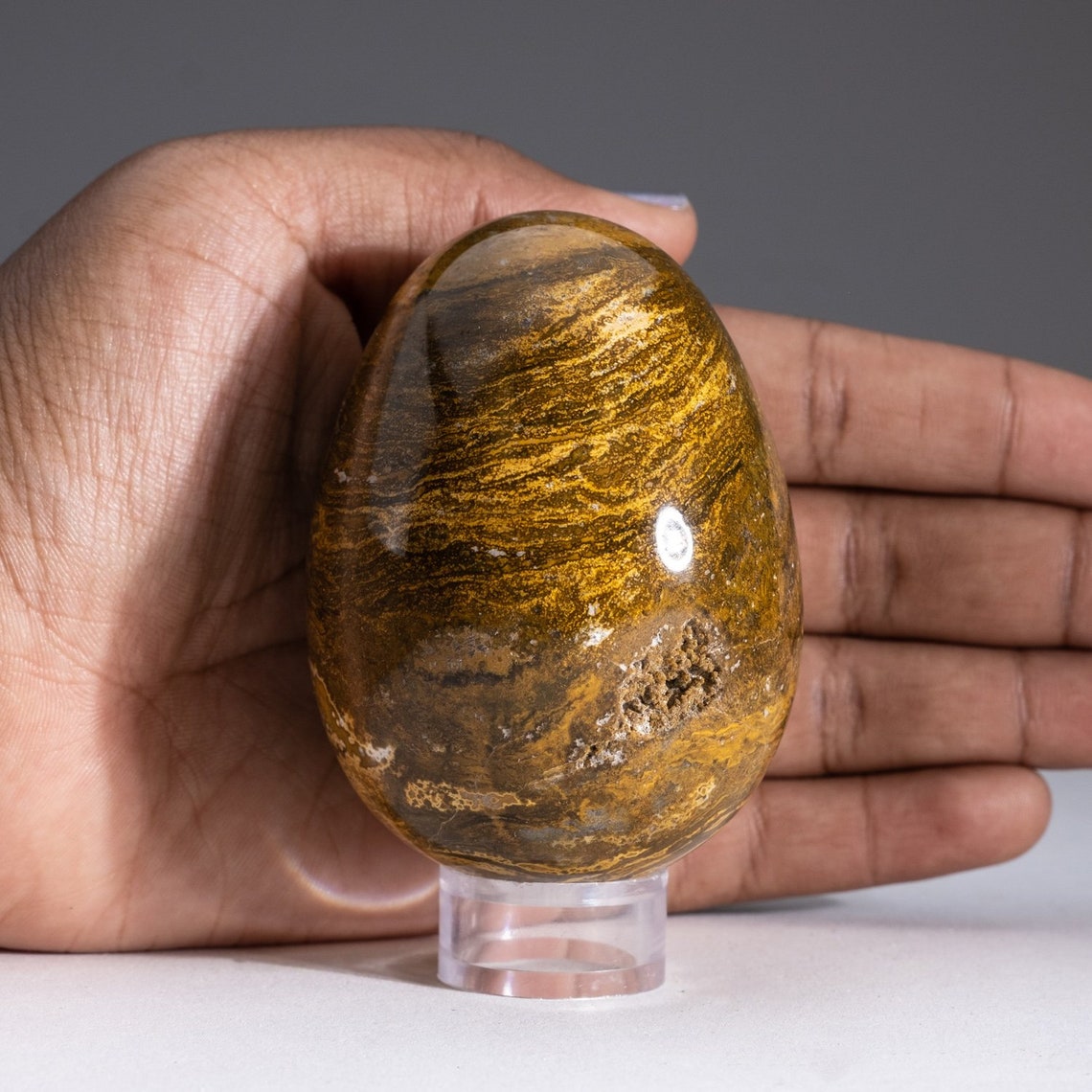 Genuine Polished Ocean Jasper Egg .7 lbs OJE11 Etsy