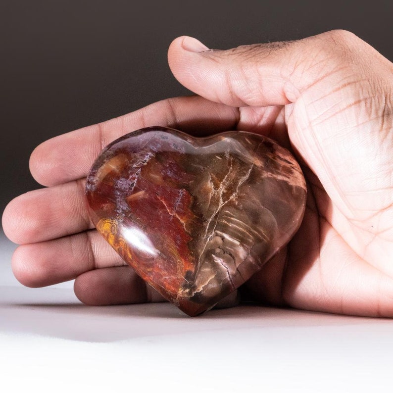 Petrified Wood Heart from Madagascar PWH12 198.5 grams