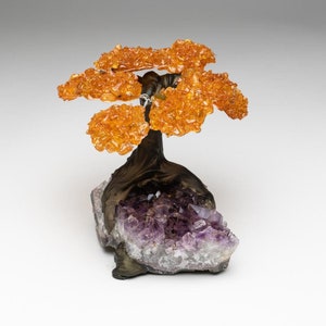 Genuine Citrine Clustered Gemstone Tree on Amethyst Matrix (The Money Tree) 5&quot;