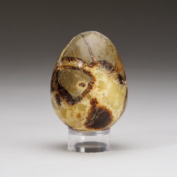 マダガスカル産　セプタリアン マダガスカル産セプタリアン ハート/Septarian