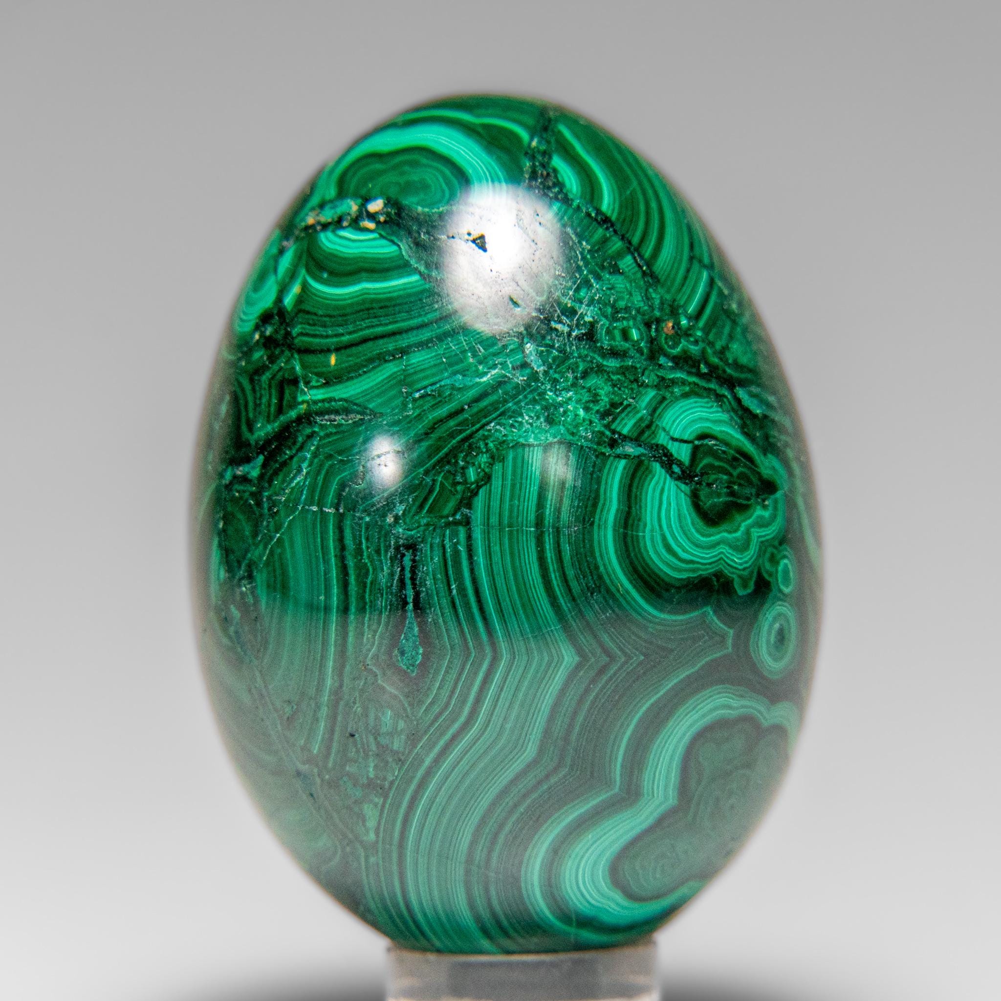 Œuf En Malachite Polie Authentique - 1.5 Lbs - Déco Minéraux Vert