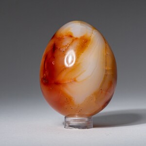 Genuine Carnelian Agate (Small) Egg from Madagascar