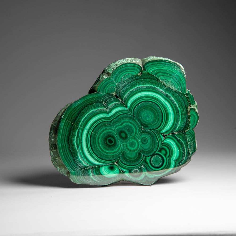 Genuine Polished Malachite Stalactite Slice