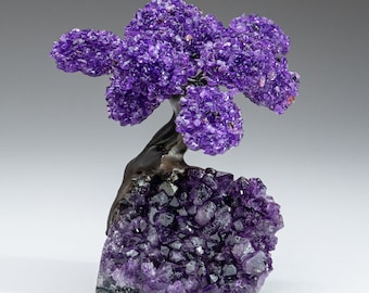 Amethyst Clustered Gemstone Tree on Amethyst Matrix (The Protection Tree) 5"