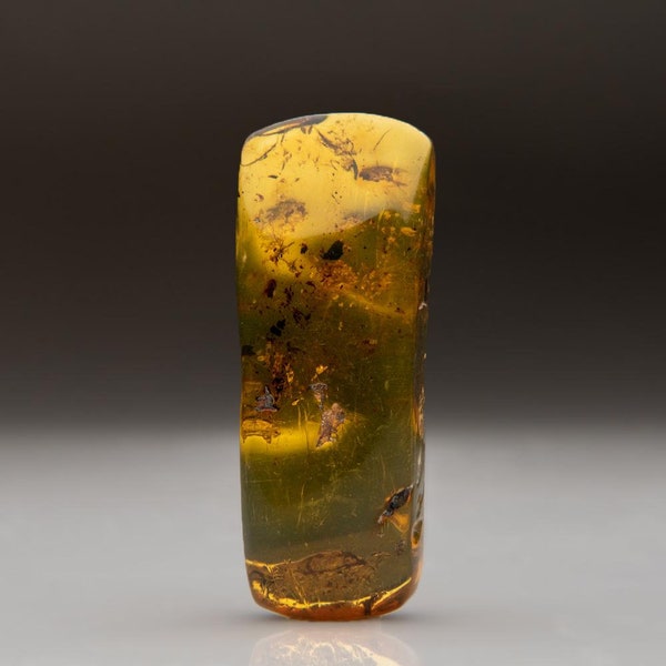 Amber from Baltic Sea, near Gdansk, Poland (15 grams) - AMB57