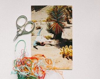 Embroidered Postcard | Desert Daydream