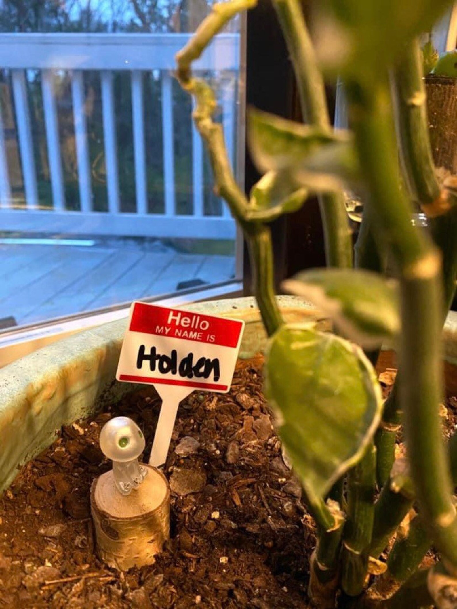 Plant name tags Etsy