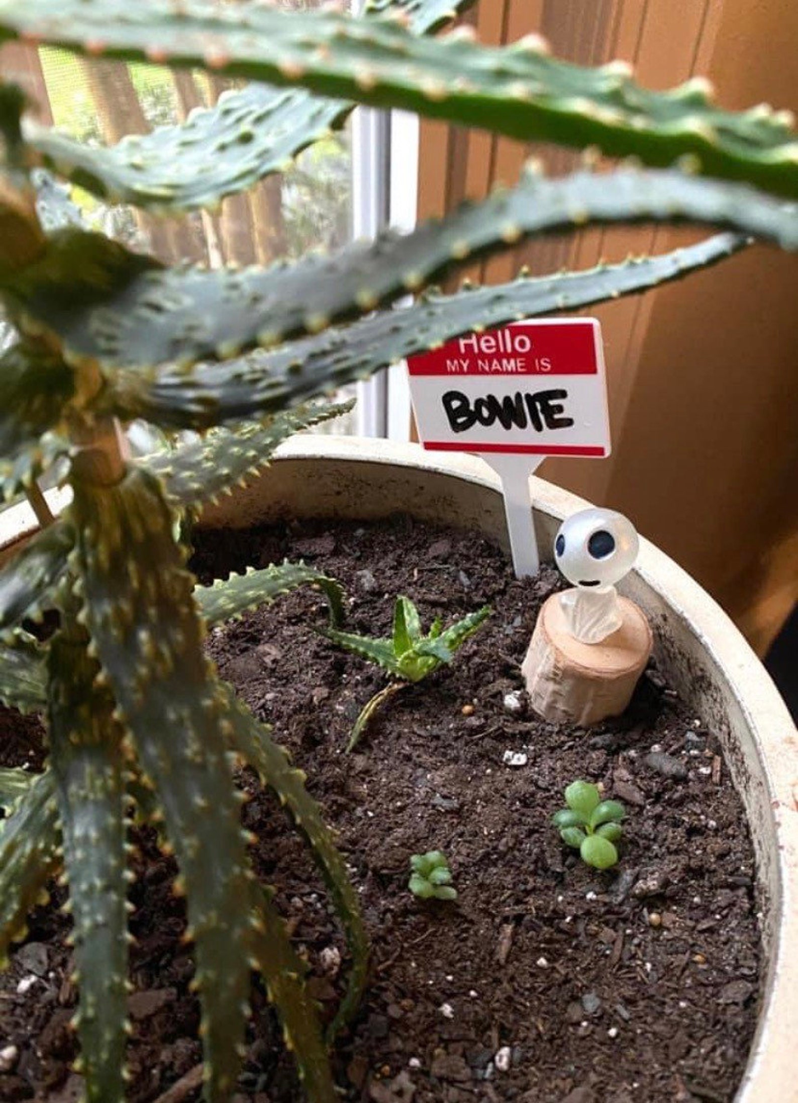 Plant name tags Etsy