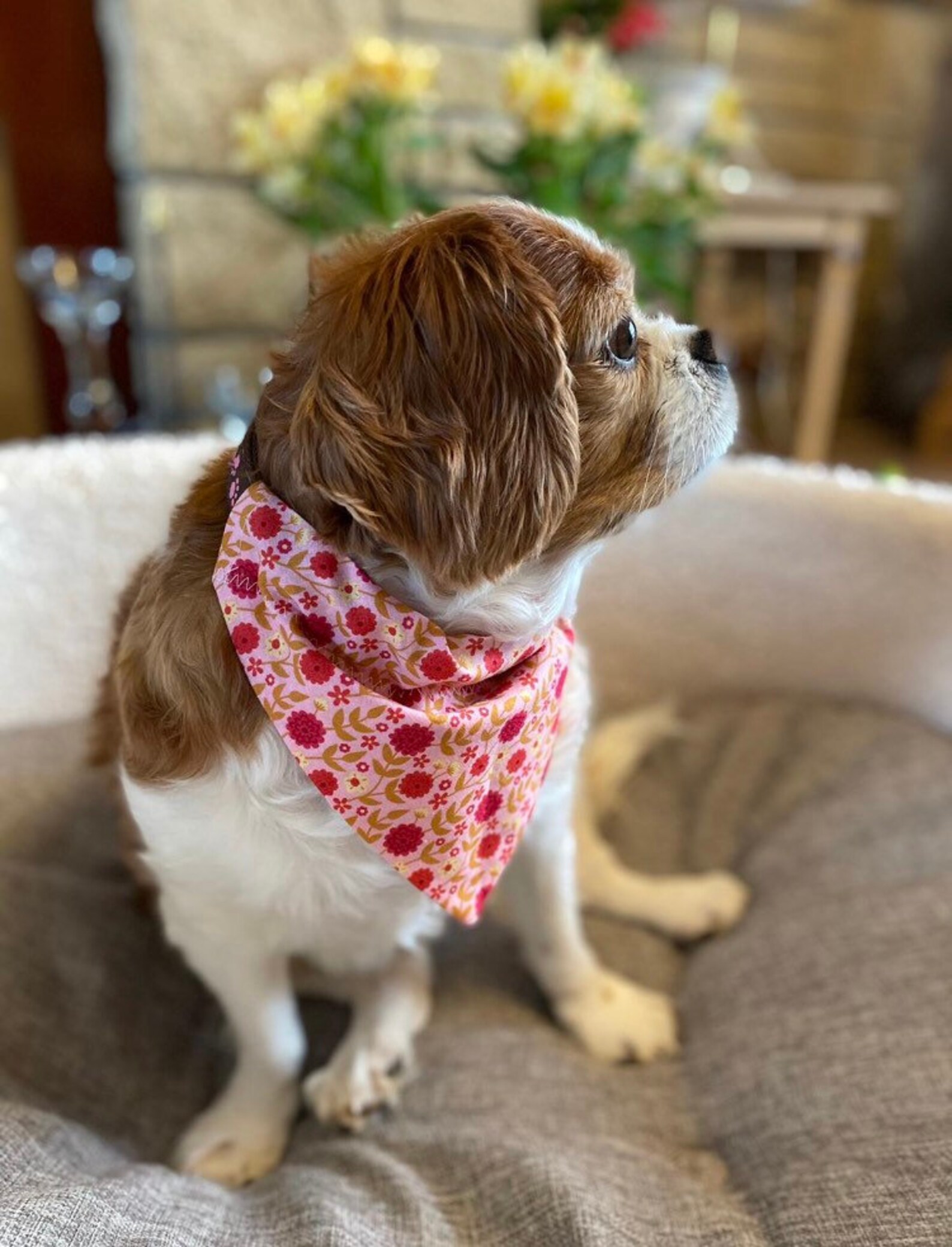 Dog Neckerchief Pink patterned Etsy