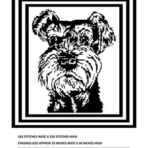 Op de afbeelding: Zwart-wit gepixeld beeld van een Schnauzer-hond. De afbeelding is omlijst met een zwarte rand. De afgewerkte maat is ongeveer 84 cm breed en 91 cm hoog. De tekst "CODE 144" en "SCHNAUZER" is inbegrepen.