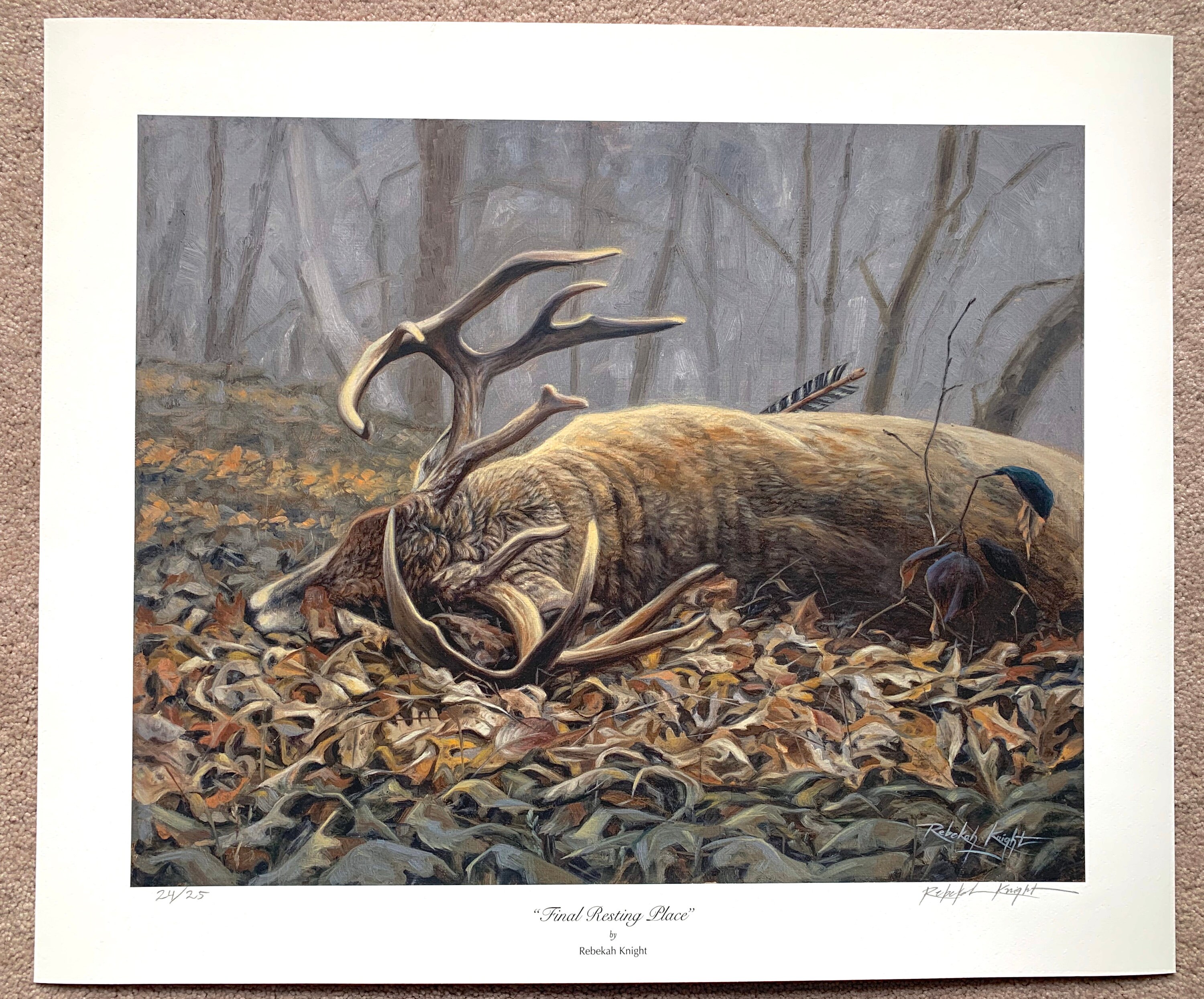 Whitetail Deer Limited Edition Fine Art Giclée Print by Etsy