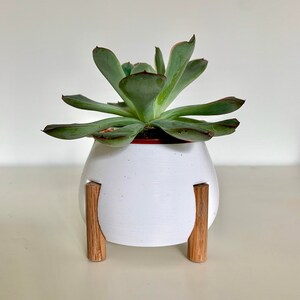 Pudgy Pot mini
