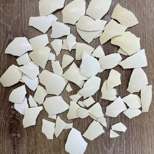 Ostrich Eggshells Broken Pieces (Fragments)