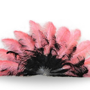 Tease Burlesque Ostrich Feather Fan - Double Layer