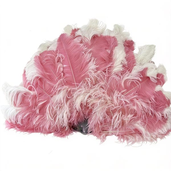 Glamour Double Layer Burlesque Ostrich Feather Fan