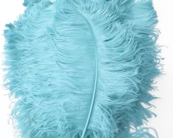 Genuine Ostrich Feather Plumes: Soft, Dyed, Elegant Crafting Supplies