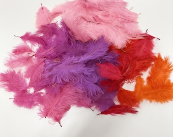 Ostrich Craft Feathers – Soft, Dyed, Lightweight for DIY Decorations