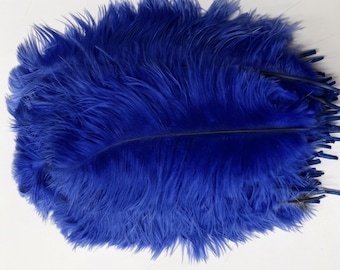 Ostrich Drab Feathers for Crafts, Decor, Millinery, and Costumes