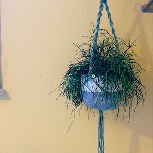May include: A green macrame plant hanger with a white and grey planter holding a green plant. The hanger is hanging from a hook on a yellow wall.