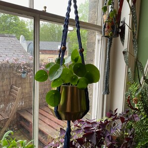 May include: A gold pot with a leafy green plant hanging from a blue macrame plant hanger with wooden beads. The plant is hanging in front of a window with a view of a patio and a building.
