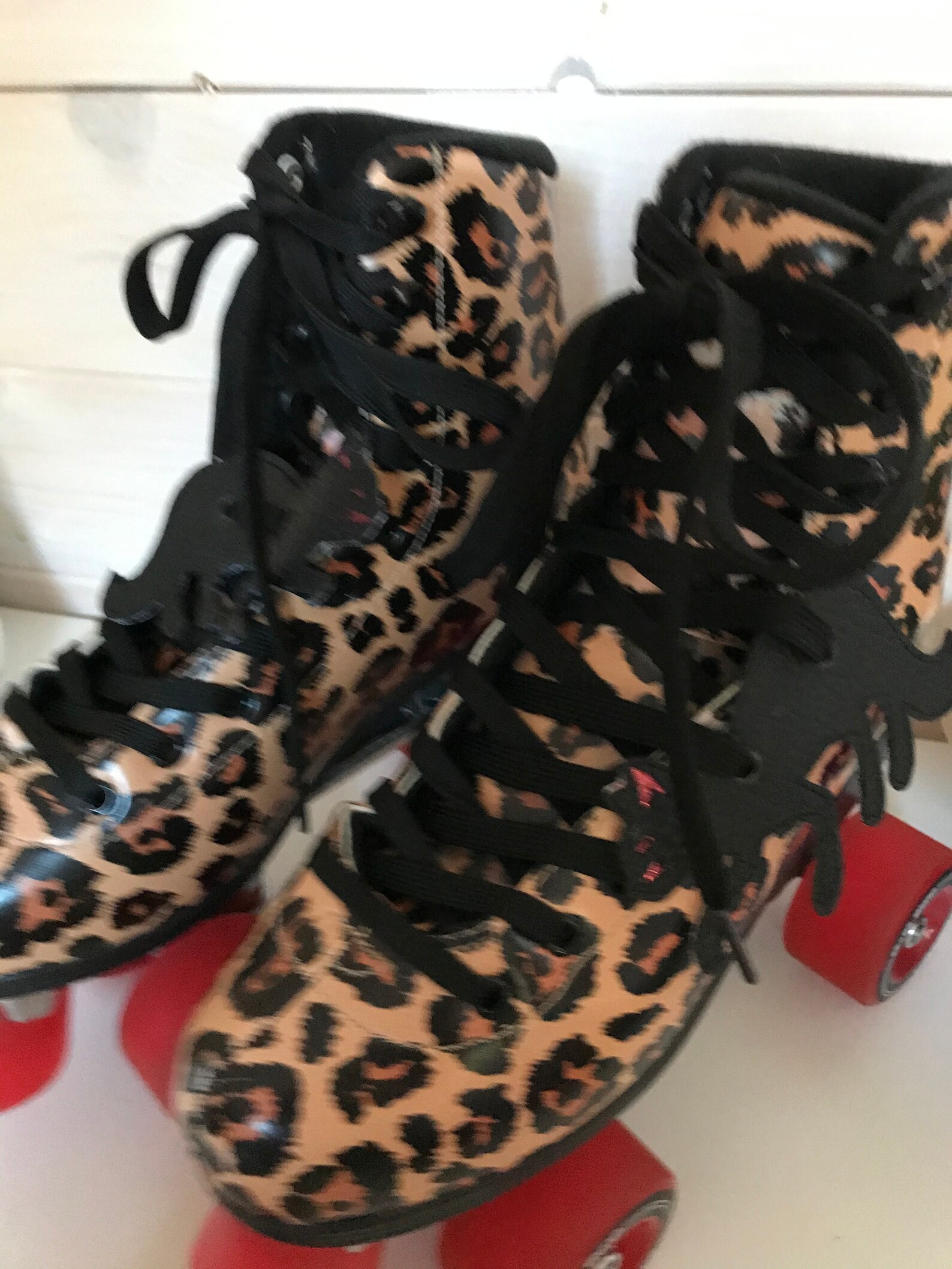 cat shoe laces