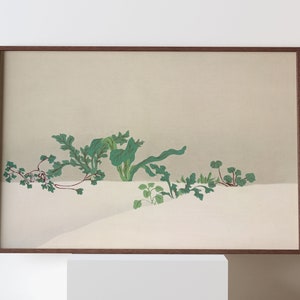 1909 Kamisaka Sekka Green plants from Momoyogusa–Flowers of a Hundred Generations Vintage Original Fine Art Print Japanese Wall Deco Poster