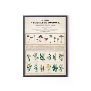 May include: A framed vintage botanical print titled "A Table of Vegetable Poisons." The print features detailed illustrations of various poisonous plants, including mushrooms and flowering plants, with scientific labels. The artwork is framed in a black border.