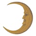 PublicMoon