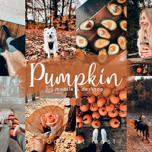 15 Pumpkin Dark Green-voorinstellingen voor mobiel en desktop, Autumn Vibes, Fall-presets, Oktober-presets, Pumpkin Patch, Moody Orange-presets