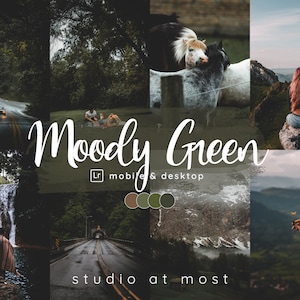 Dark Green Lightroom Presets: Moody Photo Filters (Mobile & Desktop DNG/XMP Files)