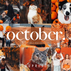 5 October Preset, Mobile and Desktop Lightroom Preset for Instagram Influencer and Bloggers, October Vibe Presets, Instagram Filter