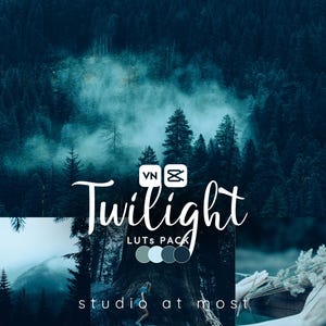 Może przedstawiać: Scena ciemno niebieskiego i zielonego lasu z mgłą i logo, które mówi "Twilight LUTs Pack" ze stylizowanym symbolem nieskończoności i literami "VN".
