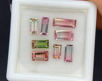 Natural Bi Color Tourmaline Lot 2.91 Carat Mix Size Baguette Shape Faceted Gemstone 8 Piece Lot