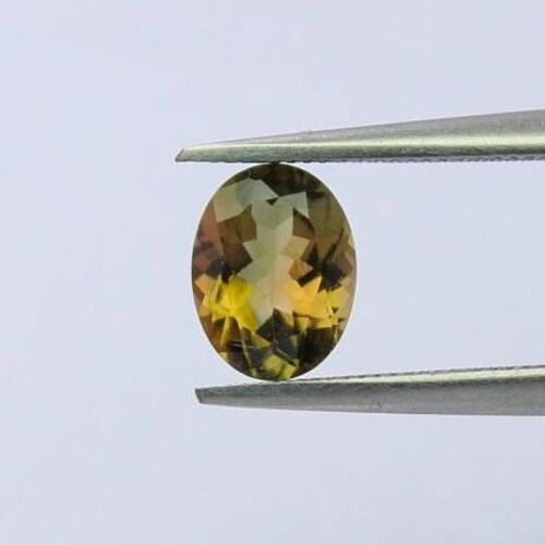 Natural Bi-color Tourmaline 1.36 Carat 8x6 shops MM Oval Shape Faceted Gemstone