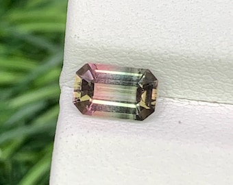 Natural Tri Color Tourmaline 0.80 Carat 7x4.3 MM Octagon Shape Faceted Gemstone