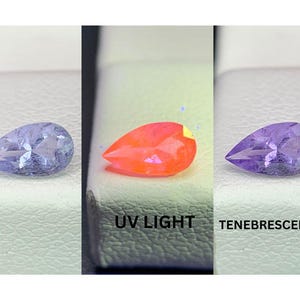 May include: Three images of a pear-shaped gemstone. The first shows a light blue gem, the second shows the gem glowing orange under UV light, and the third shows a purple gem. The text "UV LIGHT" and "TENEBRESCENCE" are below the images.
