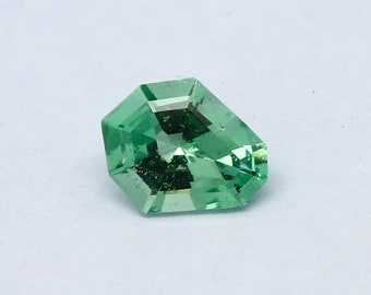 Natural Rare Kornerupine 0.38 Carat 6x4.9 MM Fancy Shape Faceted Gemstone
